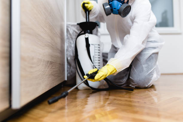 Best Termite Control Services  in Bronxville, NY