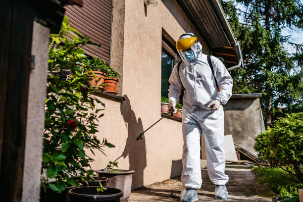 Best Rodent Control Near Me  in Bronxville, NY