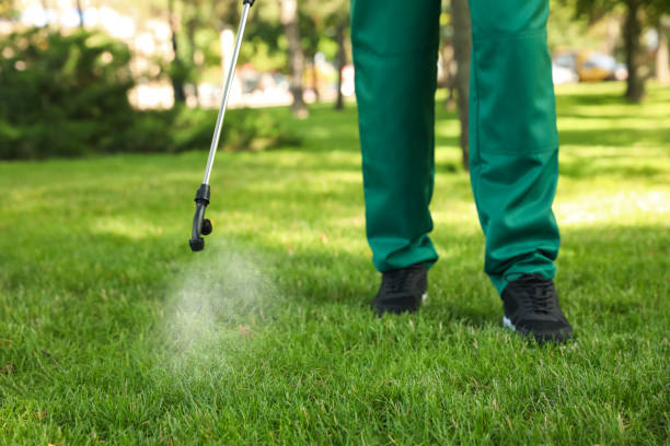 Best Affordable Pest Control Services  in Bronxville, NY
