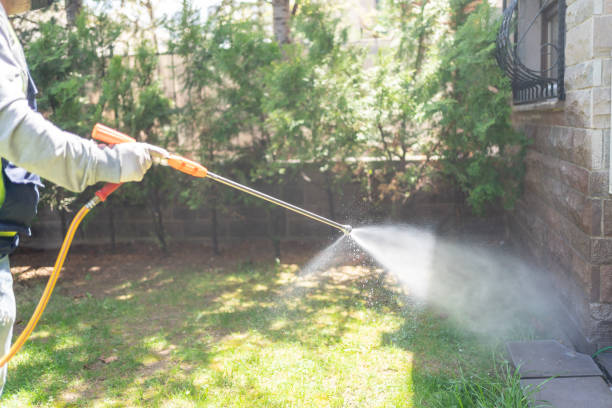 Best Spider Control Near Me  in Bronxville, NY