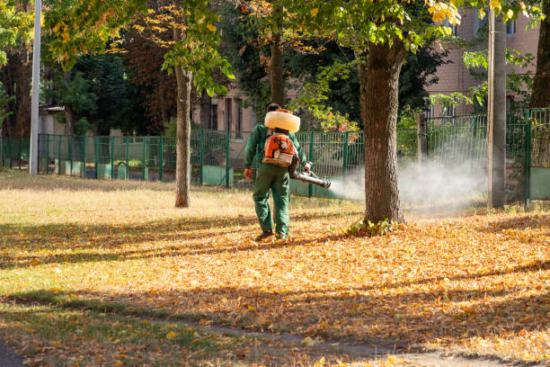Best Pest Control Near Me  in Bronxville, NY