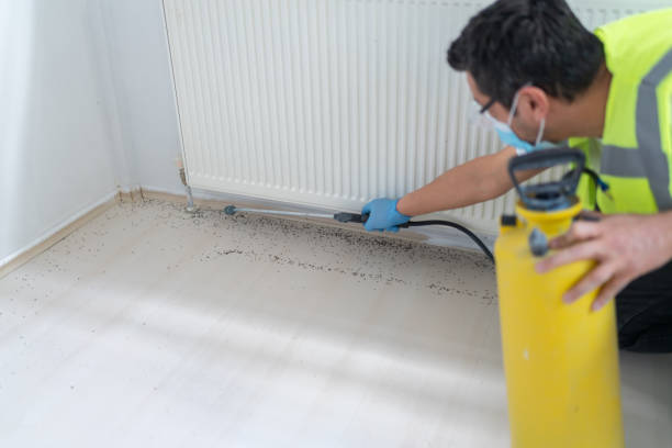 Best Mosquito Control Services  in Bronxville, NY
